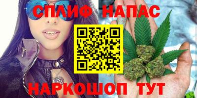 индика Донской